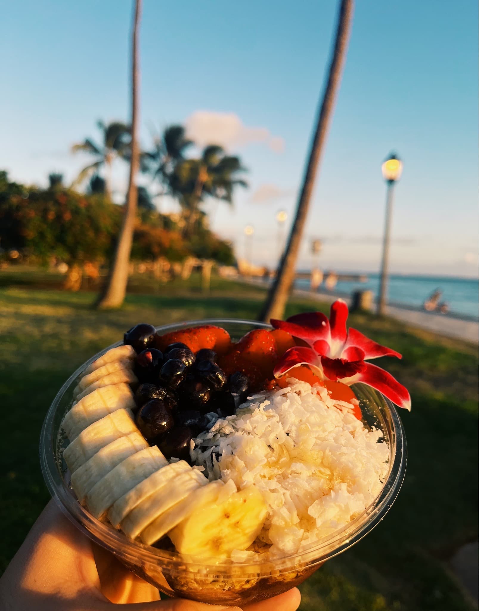 Honolulu Beach